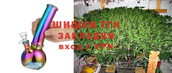 гидра Алексеевка