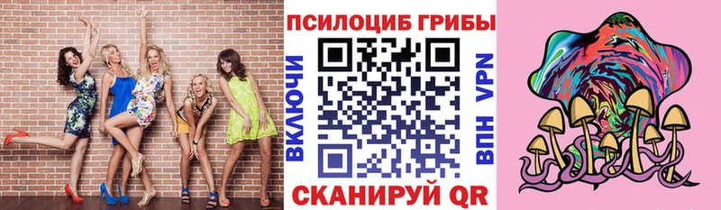 Псилоцибиновые грибы Cubensis  Сухой Лог 
