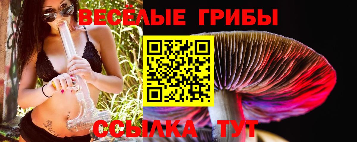 купить наркотики цена  Псилоцибиновые грибы ЛСД  Сухой Лог  Вход с VPN  Псилоцибиновые грибы GOLDEN TEACHER 